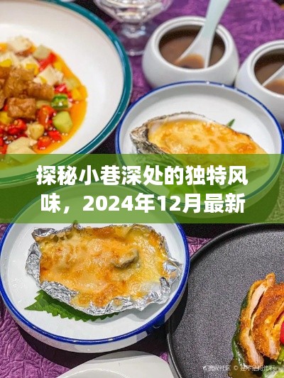 探秘限制分级下的隐秘美食殿堂，小巷深处的独特风味（2024年12月）