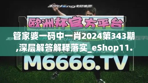 管家婆一码中一肖2024第343期,深层解答解释落实_eShop11.512