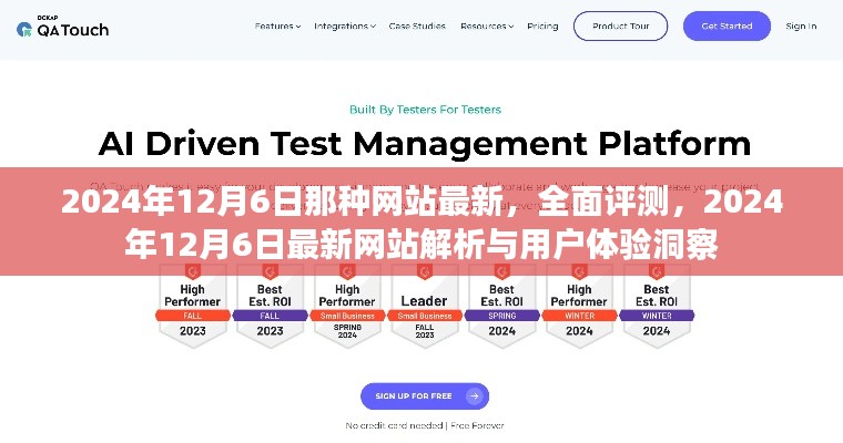 2024年12月6日最新网站全面评测与用户体验洞察