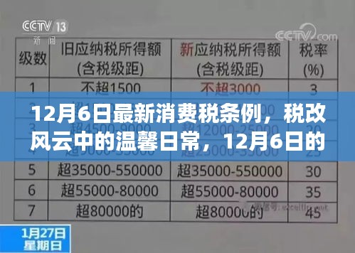 税改风云下的温馨日常，新消费税条例与家的故事