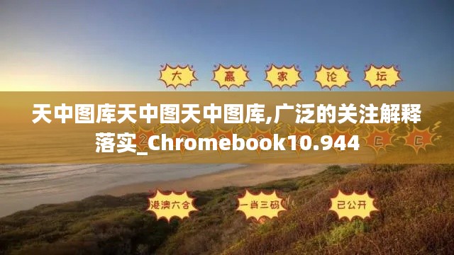 天中图库天中图天中图库,广泛的关注解释落实_Chromebook10.944