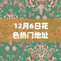 12月6日花色热门地址，12月6日花色热门地址，揭秘其背景、事件、影响与时代地位