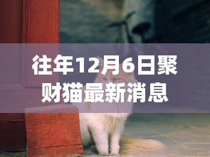 聚财猫下的自然之旅，探索美景，寻找内心宁静的最新消息（往年12月6日）