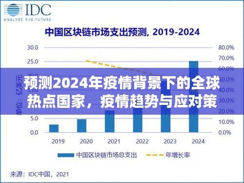 2024年疫情背景全球热点国家展望，趋势分析与应对策略探讨