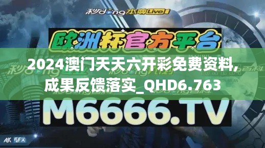 2024澳门天天六开彩免费资料,成果反馈落实_QHD6.763