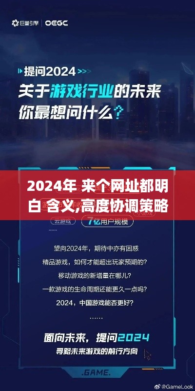 2024年 来个网址都明白 含义,高度协调策略执行_手游版1.693