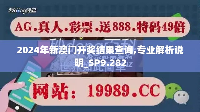 2024年新澳门开奖结果查询,专业解析说明_SP9.282