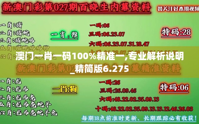 澳门一肖一码100%精准一,专业解析说明_精简版6.275