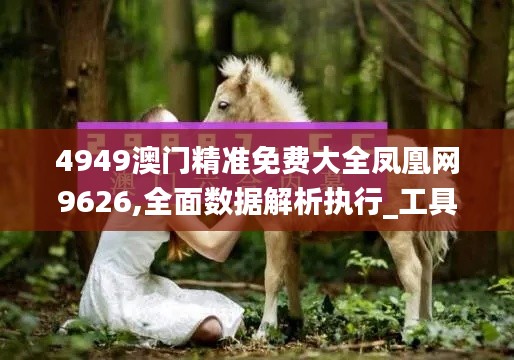 4949澳门精准免费大全凤凰网9626,全面数据解析执行_工具版2.651