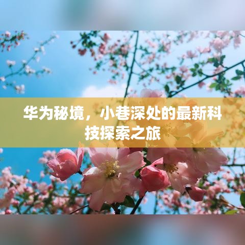 华为秘境揭秘，小巷深处的科技探索之旅