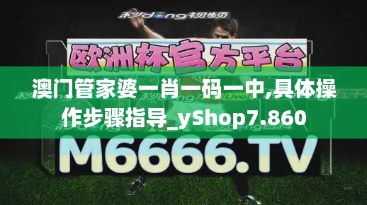 澳门管家婆一肖一码一中,具体操作步骤指导_yShop7.860