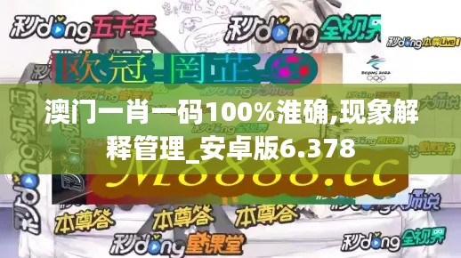 澳门一肖一码100%淮确,现象解释管理_安卓版6.378