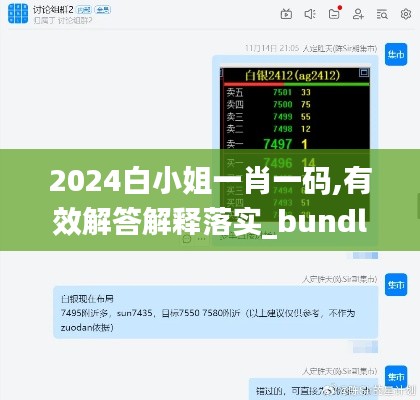 2024白小姐一肖一码,有效解答解释落实_bundle10.946