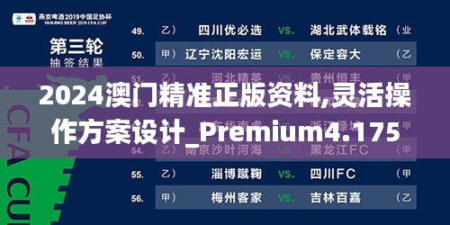 2024澳门精准正版资料,灵活操作方案设计_Premium4.175