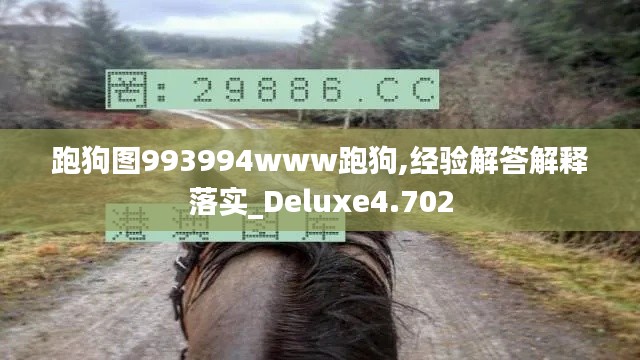 跑狗图993994www跑狗,经验解答解释落实_Deluxe4.702