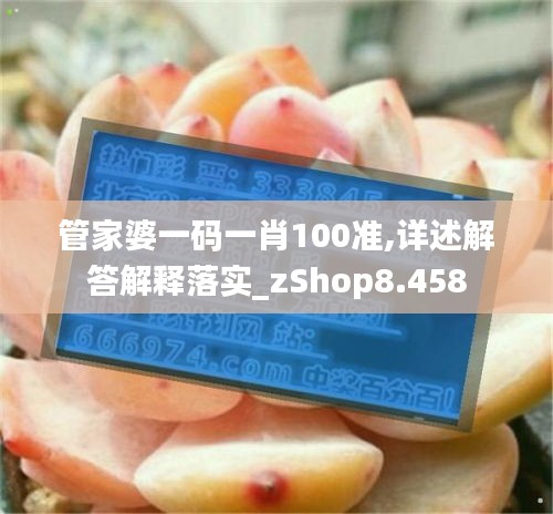 管家婆一码一肖100准,详述解答解释落实_zShop8.458