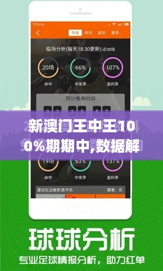 新澳门王中王100%期期中,数据解答落实_进阶款2.667