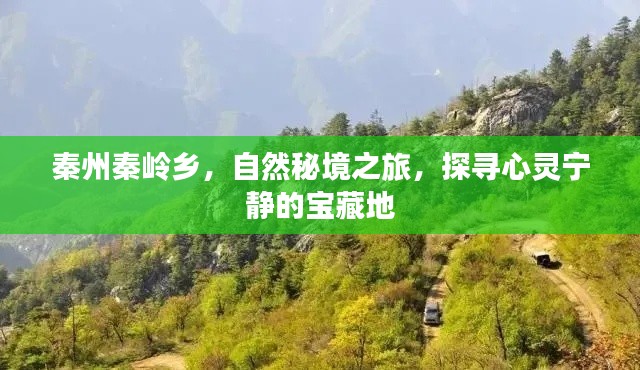 秦州秦岭乡，自然秘境的心灵宝藏之旅