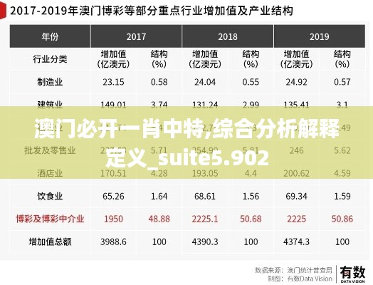 澳门必开一肖中特,综合分析解释定义_suite5.902