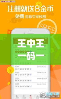 王中王一码一肖一特一中2024年,灵活操作方案设计_免费版2.990