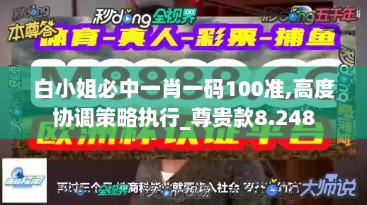 白小姐必中一肖一码100准,高度协调策略执行_尊贵款8.248