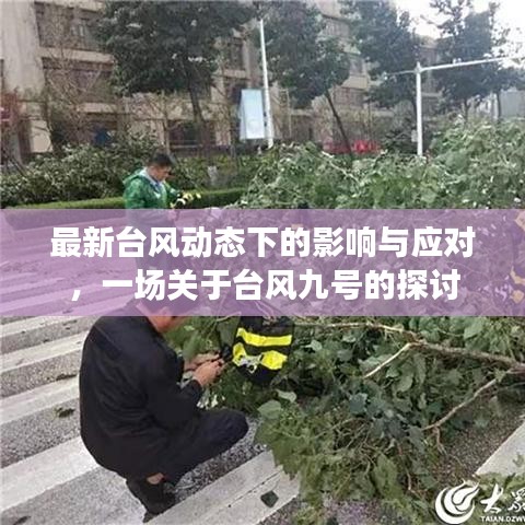 关于台风九号影响的最新动态与应对策略的探讨