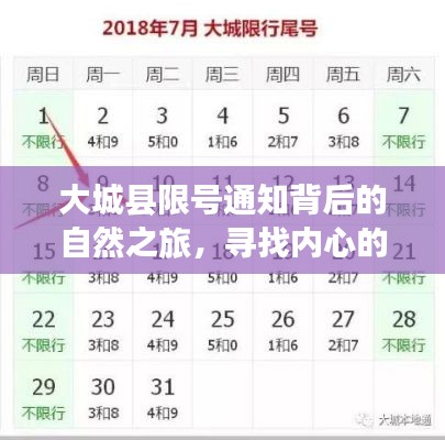 大城县限号背后的自然之旅，探寻内心宁静与喜悦的旅程