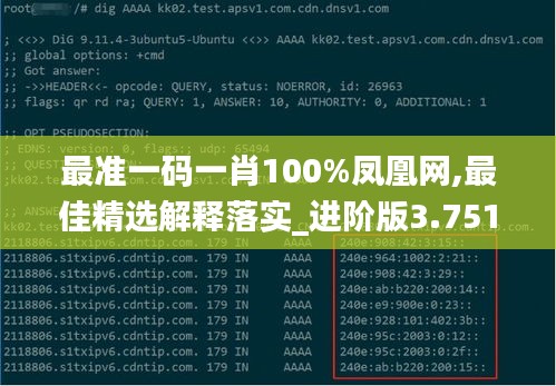 最准一码一肖100%凤凰网,最佳精选解释落实_进阶版3.751