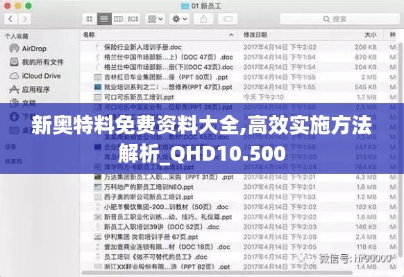 新奥特料免费资料大全,高效实施方法解析_QHD10.500