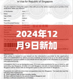 2024年新加坡签证最新动态解读，调整与变化的详细解析