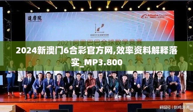 2024新澳门6合彩官方网,效率资料解释落实_MP3.800