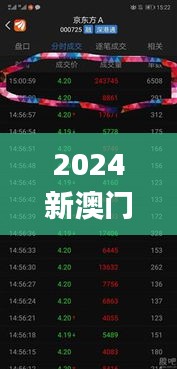 2024新澳门天天六开好彩大全,诠释说明解析_安卓6.996