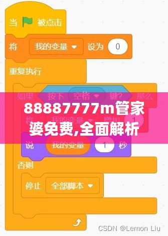 88887777m管家婆免费,全面解析与深度体验_9DM2.245