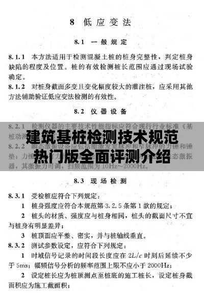 建筑基桩检测技术规范热门版详解与全面评测介绍