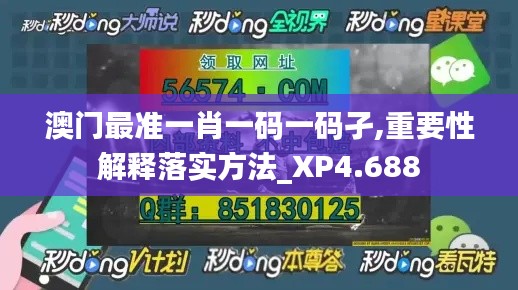 澳门最准一肖一码一码孑,重要性解释落实方法_XP4.688