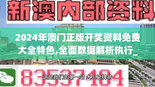 2024年澳门正版开奖资料免费大全特色,全面数据解析执行_精简版9.349