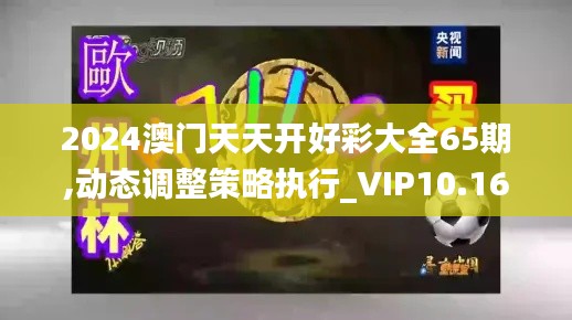 2024澳门天天开好彩大全65期,动态调整策略执行_VIP10.168