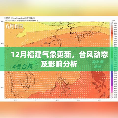 福建气象更新报告，台风动态分析与影响解读