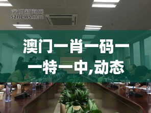 澳门一肖一码一一特一中,动态调整策略执行_钻石版3.675