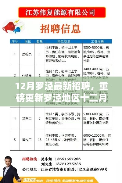 12月罗泾最新招聘，重磅更新罗泾地区十二月最新招聘信息大揭秘，优质职位等你来挑战！