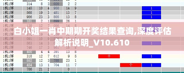 白小姐一肖中期期开奖结果查询,深度评估解析说明_V10.610