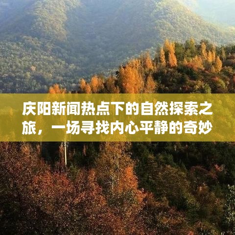 庆阳新闻热点下的自然探索之旅，追寻内心平静的奇妙旅程