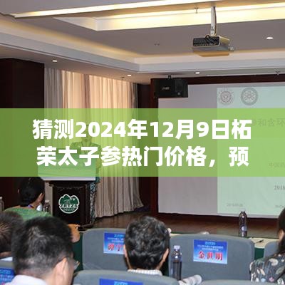 猜测2024年12月9日柘荣太子参热门价格，预测2024年柘荣太子参热门价格趋势，深度解析与前瞻