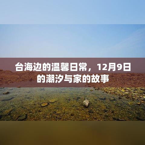 台海边家的温馨日常，潮汐中的故事与家的回忆