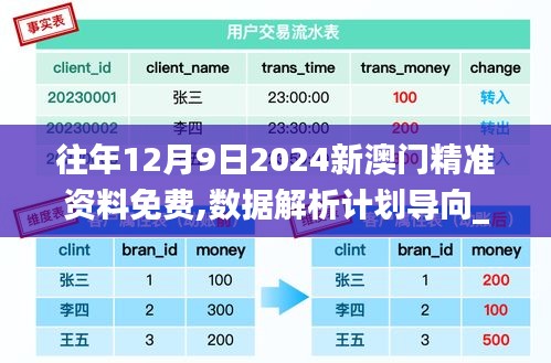 往年12月9日2024新澳门精准资料免费,数据解析计划导向_5DM3.178