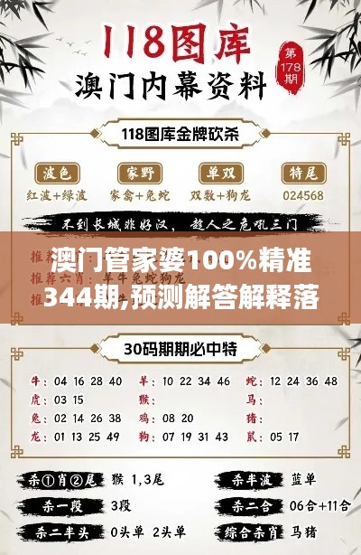 澳门管家婆100%精准344期,预测解答解释落实_GT7.922