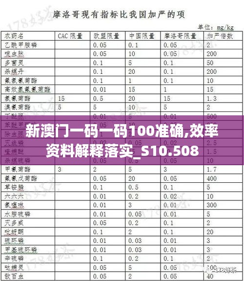 新澳门一码一码100准确,效率资料解释落实_S10.508