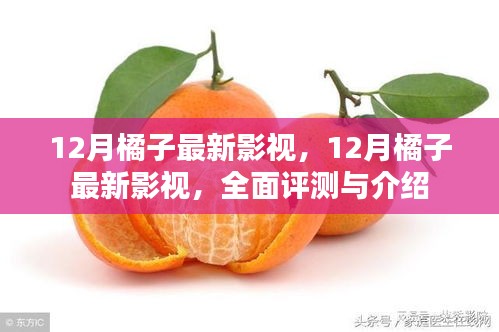 12月橘子最新影视，全面评测与介绍