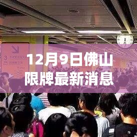 12月9日佛山限牌最新消息，影响与争议