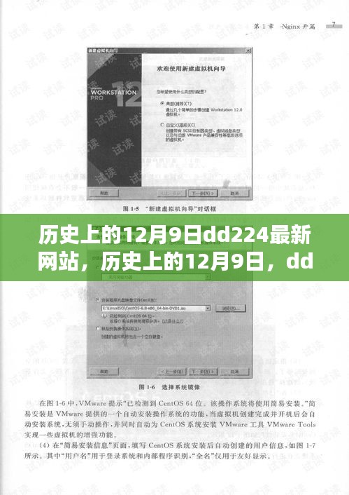 历史上的12月9日，DD224最新网站全面评测与介绍